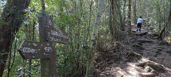 20220312_馬那邦山 細道邦山南峰 細道邦山1637060