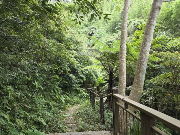 [皮皮獅探險隊-10/10] 2025_0816 白蘭溪古道2862942