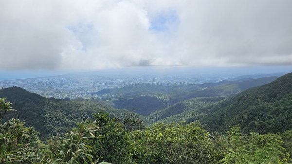 【我的第一個教師節🤣🤣】解鎖第51座小百岳#083三角崙山（抹茶山、聖母登山步道）2900605