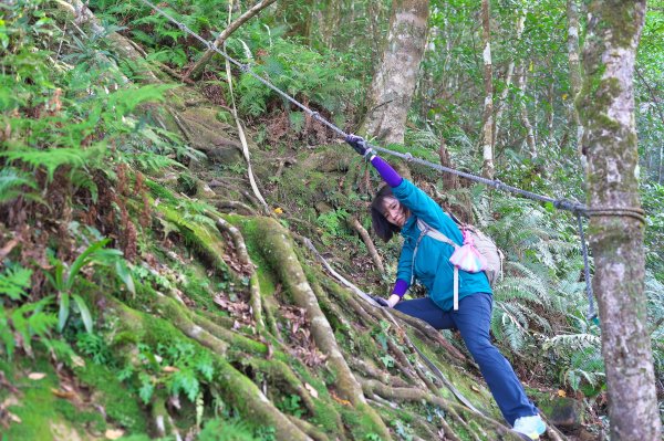 嘎色鬧登那結山2392514