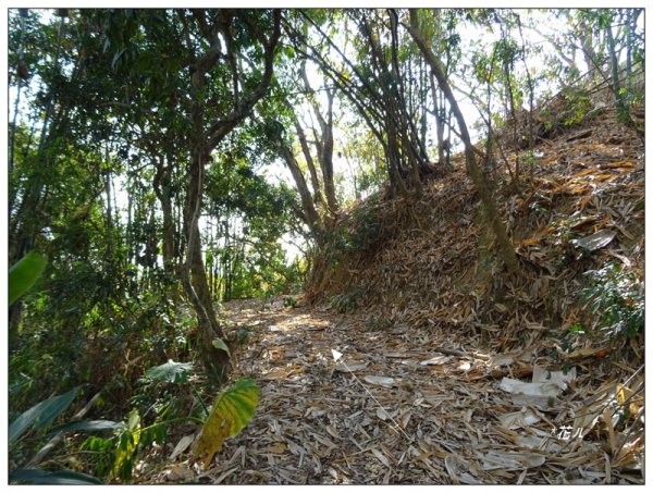 東南坑山(台中-太平)1279623