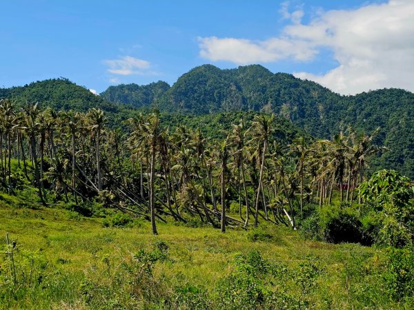東河橋遊憩區步道-2025漫遊縱谷愛在花東-台東縣東河鄉2916705