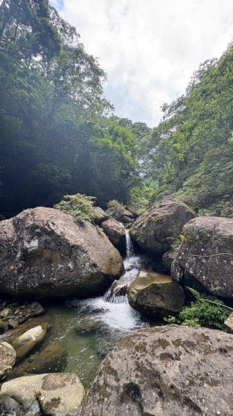 戲水（鴛鴦2786675
