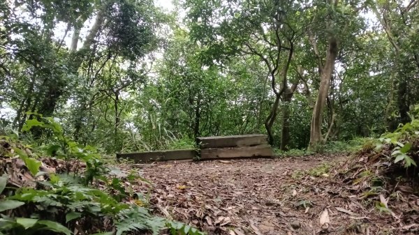 汐止區翠湖步道-學頭坡步道-老鷲尖-內溝山步道-翠湖P字走3051233
