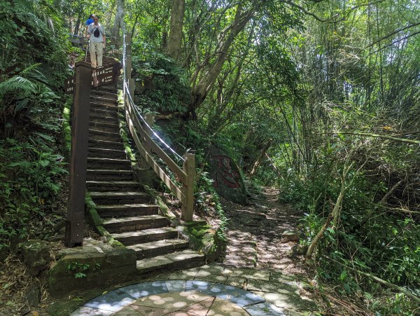 南港山縱走：象山、拇指山、南港山、九五峰1724158