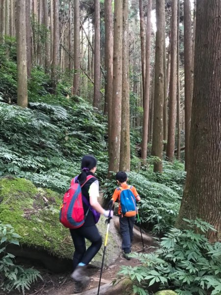 加里山鹿野線461355