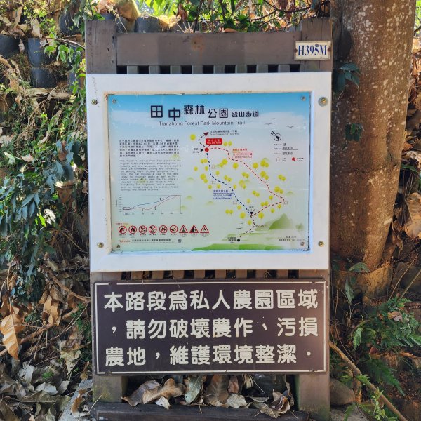 田中森林登山步道2411100