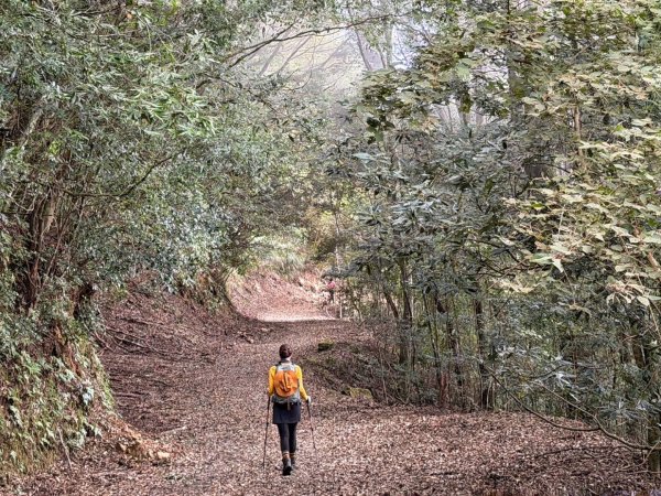 雪霸國家公園 雪見遊憩區 東洗水山2928577