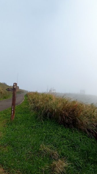 大屯山主峰步道1938033