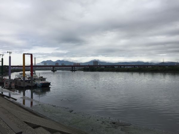 大屯山五連峰步道看芒花搖曳106819