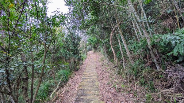 大湖山,牛稠湖山,石崁山,龍船岩2399514