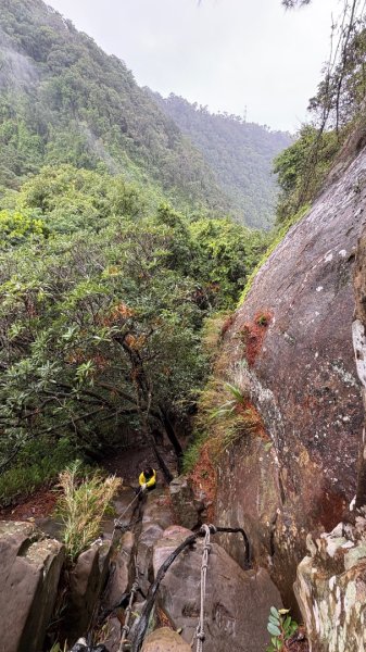 迎新（2026元旦2975617