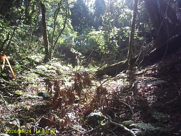 台21號公路的同富(埔沙)山3061834