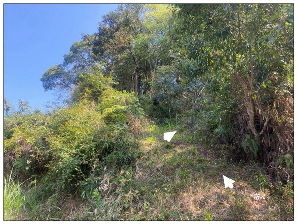 阿里眉山 (日月潭四姝的么妹)2753067