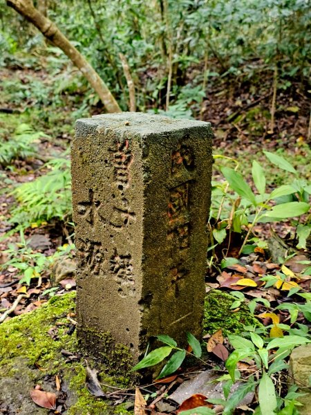 西阿里關山-小百岳#66-高雄市甲仙區2750001