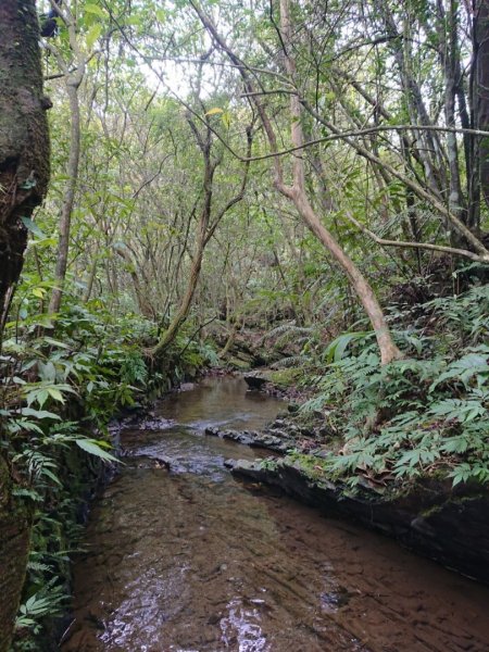 璀璨百年淡蘭古道～崩山坑古道、溪尾寮山、保城坑古道、虎豹潭步道O走1313470