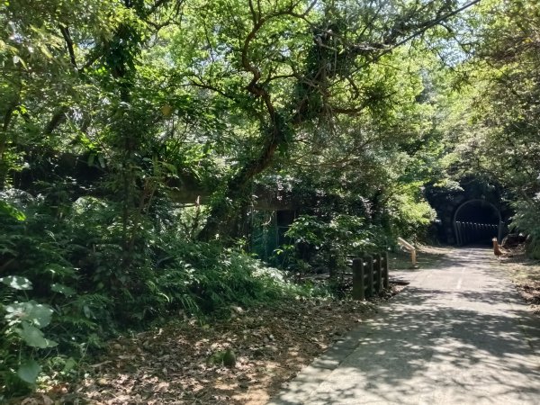 瑞芳區一錢鑽九空(瑞芳舊隧道群+猴洞舊隧道群+三貂嶺生態友善隧道)/瑞芳到牡丹3041259