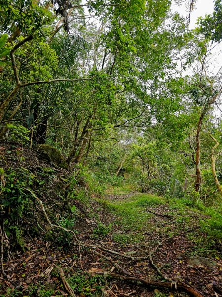 西阿里關山-小百岳#66-高雄市甲仙區2749999