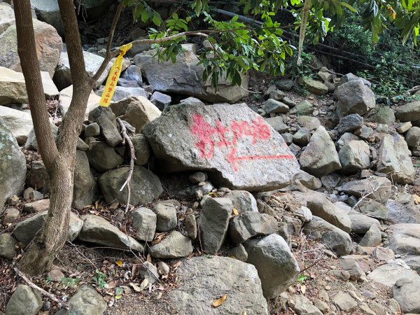 2020.03.08里龍山878288