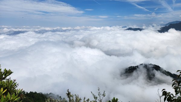 【中級山縱走】最美中級山，鳶嘴西稜縱走（鳶嘴山，醜崠山，長壽山）2741419