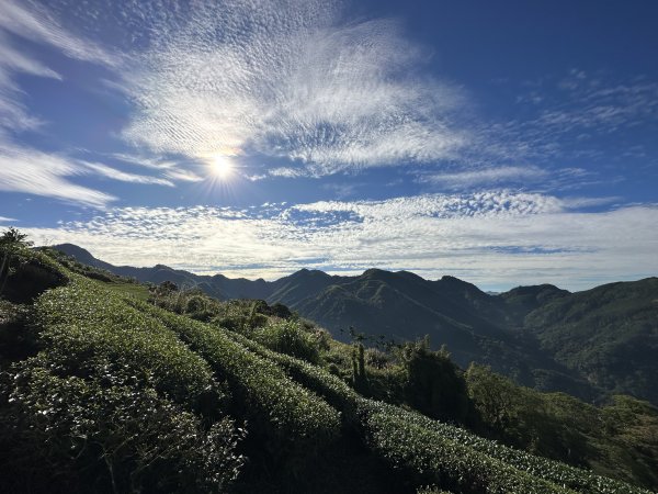 竹崎十三連峰 (阿里山四大天王越野賽路線)1932704