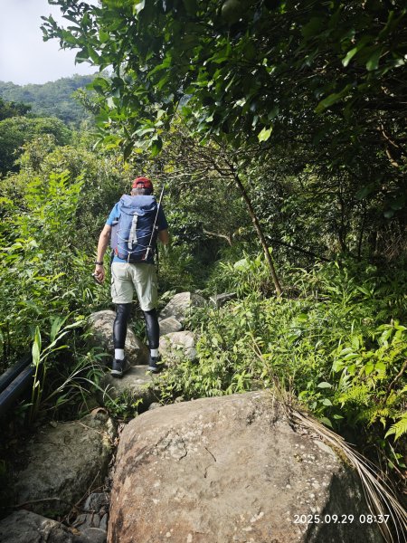 2025-0929 鹿堀坪古道2899422