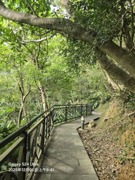 2025-12-06微笑山線：【二格山系】和美山螢火蟲段2956813