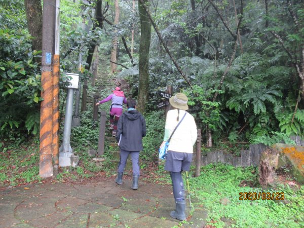 汐止大尖山908474