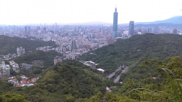 【臺北大縱走6】捷運麟光站→拇指山、【臺灣百大必訪步道】象山