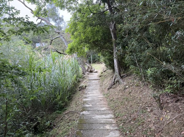 [微笑山線_第四段] 2026_0321 天上山系_三粒半3021083