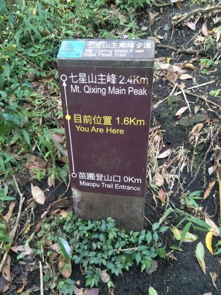 七星山主、東峰登山步道1682139