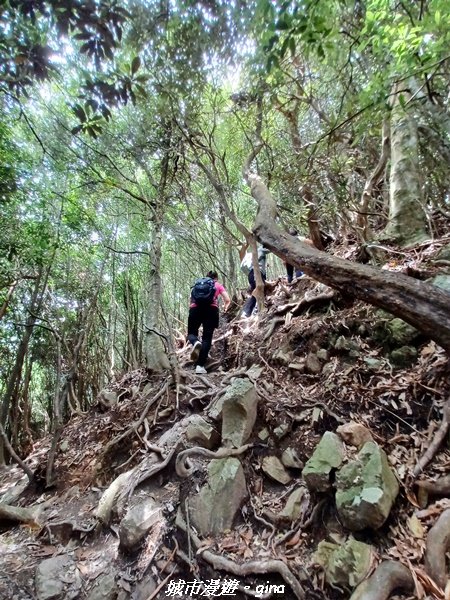 【台中和平】2022「谷關七雄，慢旅台中」登山活動認證。涼蔭避暑林道。屋我尾山步道1791611