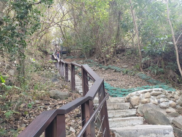 台東鯉魚山步道1267904