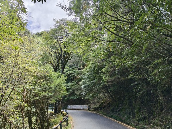 [玉山尋寶任務-09/12] 2025_0928 麟趾山步道2899875