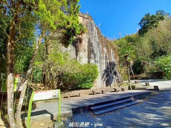 【嘉義。阿里山鄉】小百岳集起來。 編號60小百岳-奮起湖大凍山步道1579175