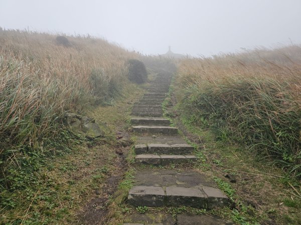 2025臺北大縱走第三段：小油坑至風櫃口2973456