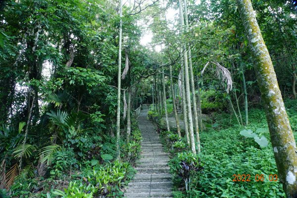 嘉義 梅山 觀音山1729866