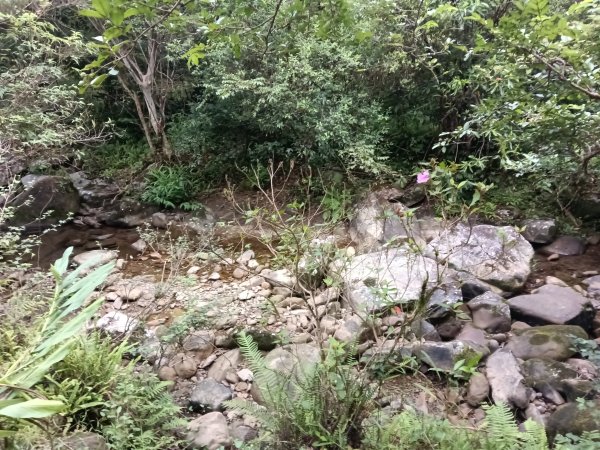 雙溪區崩山坑古道+下坑山稜線越嶺路+下坑山O型2839787