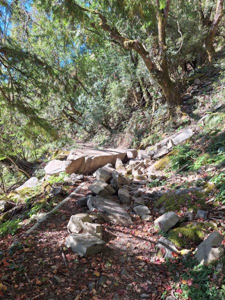 石山引水道202512112959585