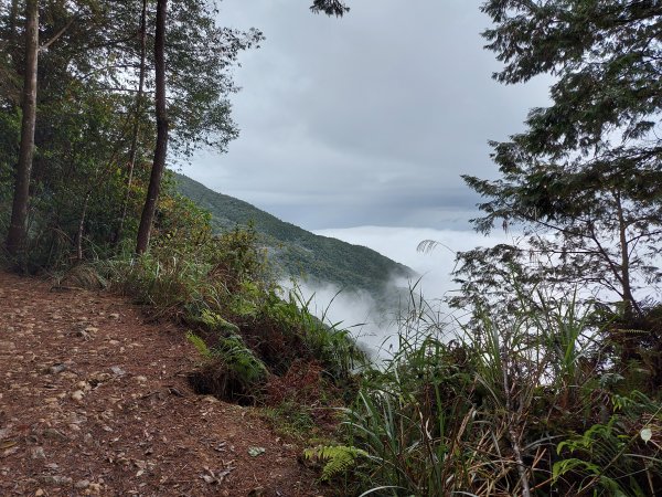 橫嶺山步道走走1219165