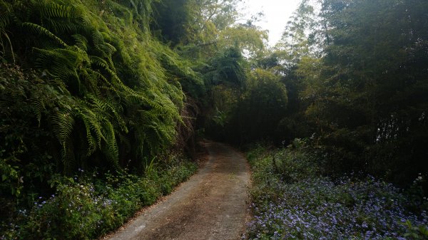 大湖尖山 鳳凰瀑布 紫雲寺1288592