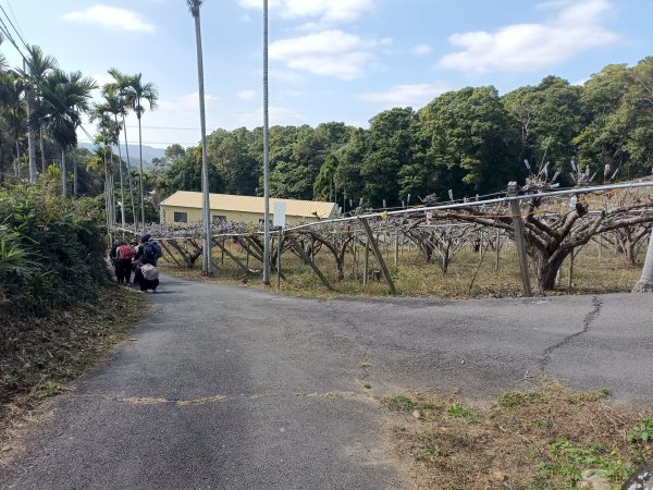 穿霧隘勇線-中三鹿2991757