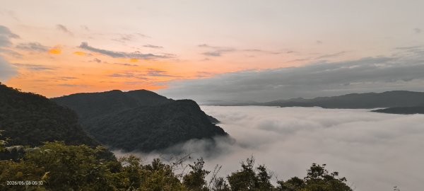 #翡翠水庫壩頂 #月亮 #日出 #雲海 #藍腹鷴母鳥 5/8&133050277