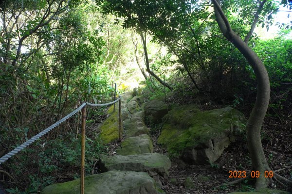 臺北 新坡尾山、竹嵩山、金面山、論劍山、文間山2281864