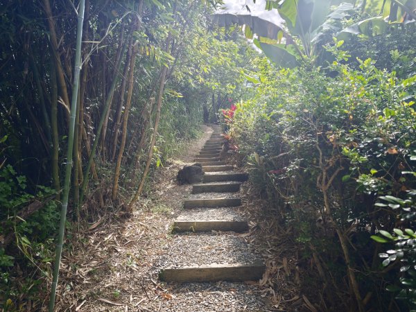 [淡蘭古道] 2026_0523 南路第一段_土地公嶺古道3069437