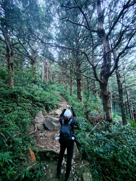 長壽山、肥崠山、醜崠山、大崠山、大崠山經建版2931519