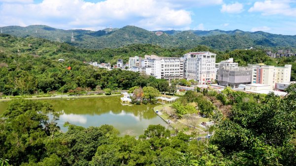 《蝶戀花。酸藤一生》2723354