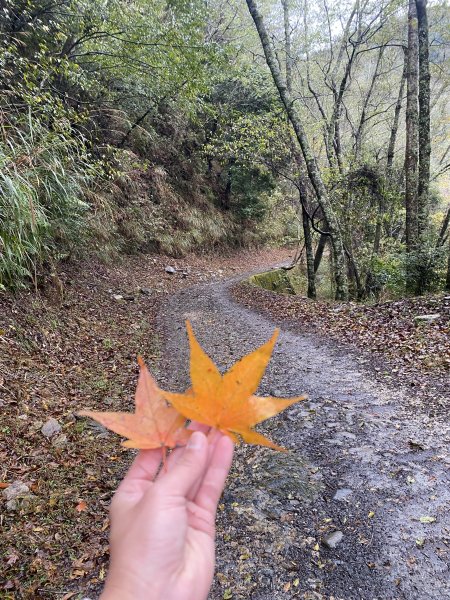 大霸尖山3日(2024.12.24~12.26)2813815