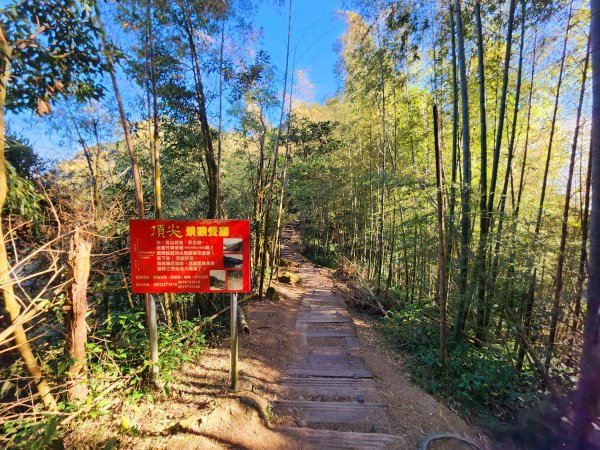 小百岳集起來-雲嘉大尖山2182907