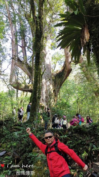 司馬庫斯步道880267
